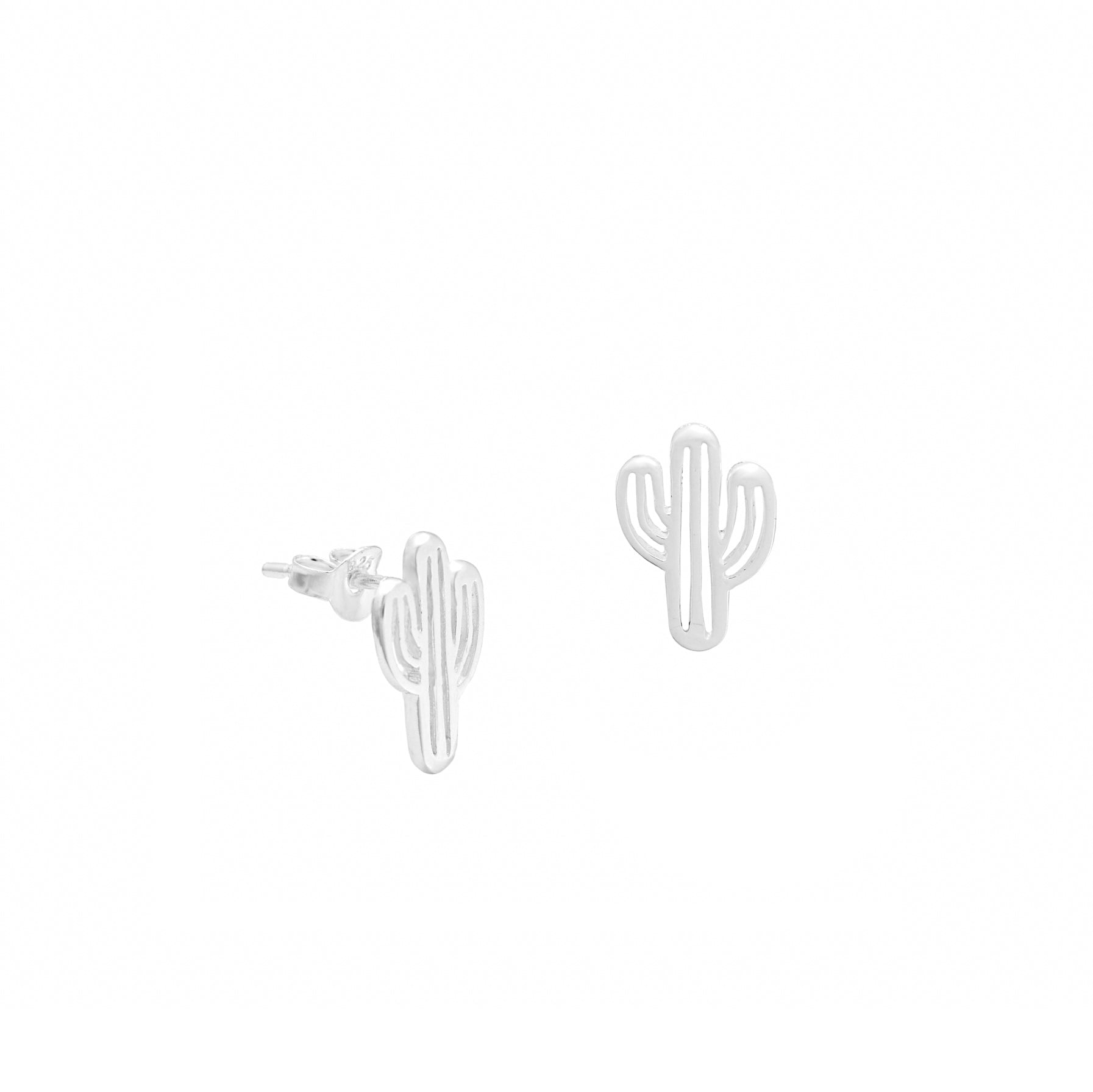 cactusplainesilver.jpg