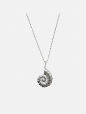 Shell