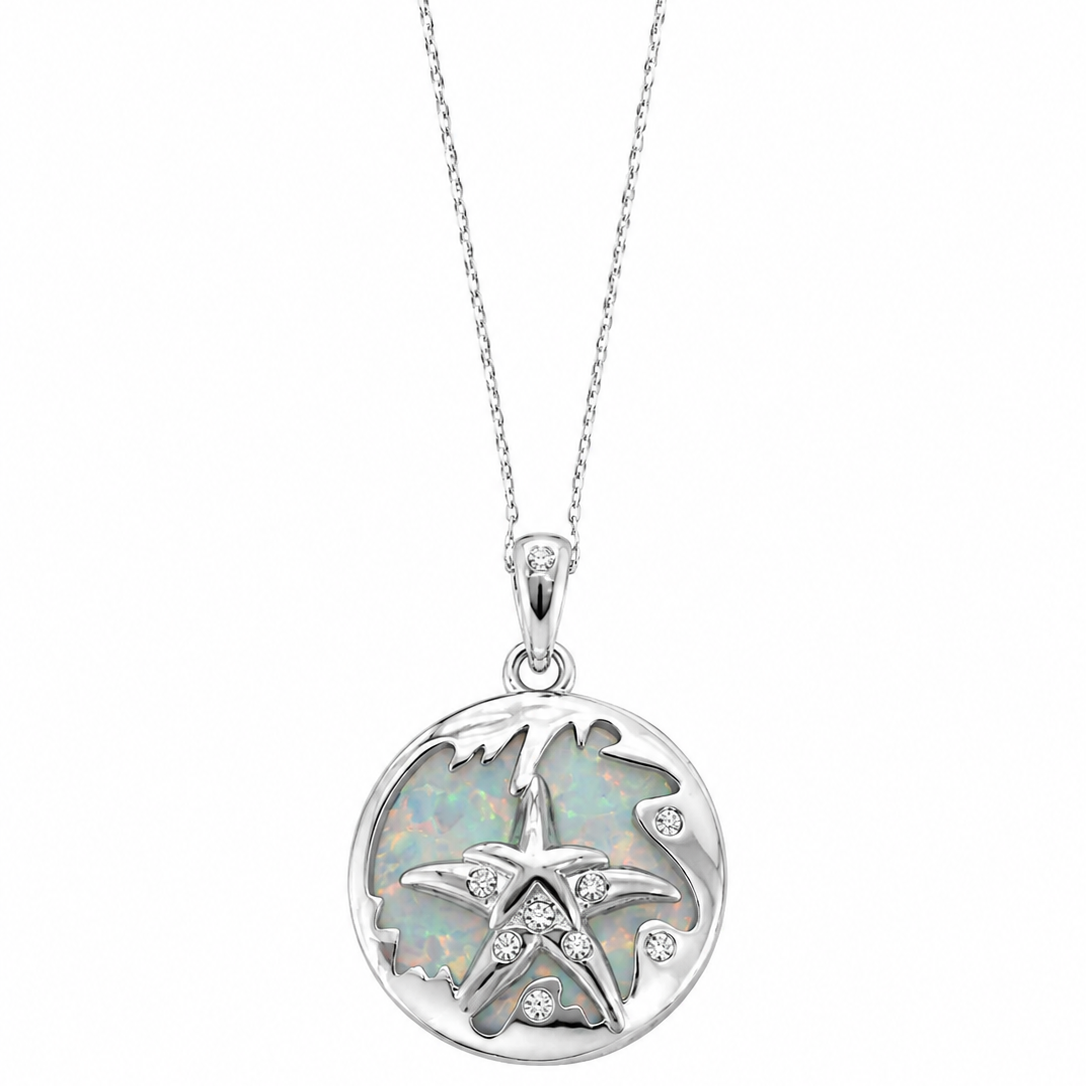 estrella_de_mar_03e2dba1-9a7d-4162-8089-8ff74425417f.png