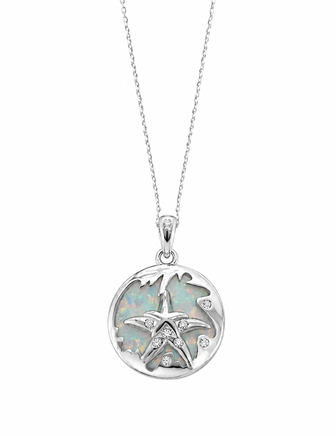 estrella_de_mar_03e2dba1-9a7d-4162-8089-8ff74425417f.png